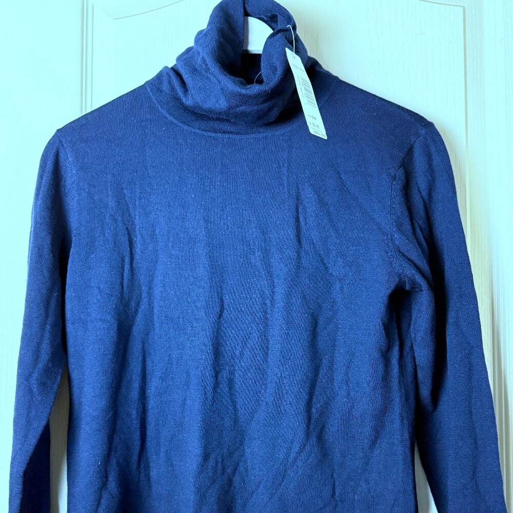 NWT Pendleton Soft Merino Wool Turtleneck Sweater (small)